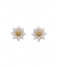Witte bloemen oorclips met een goudkleurige kern