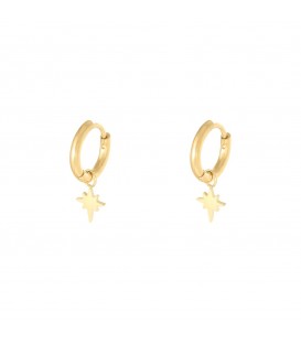 Goudkleurige oorbellen met bedel